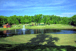 West Branch Golf-T