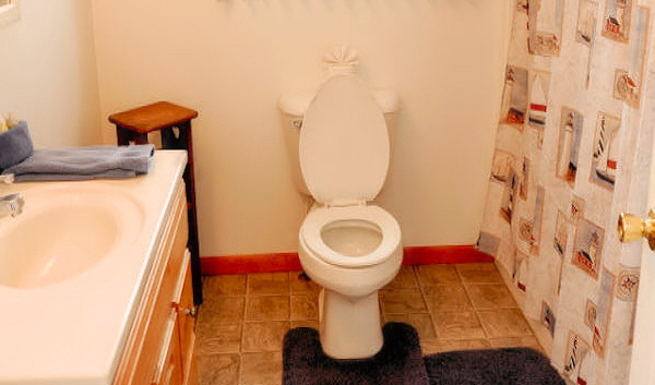 Cabin Nine - Full Bathroom off Master Bedroom