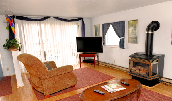 Cabin Nine Living Room Gas Fireplace