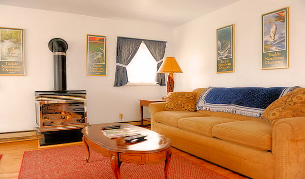 Cabin Nine Living Room with Pull Out Couch